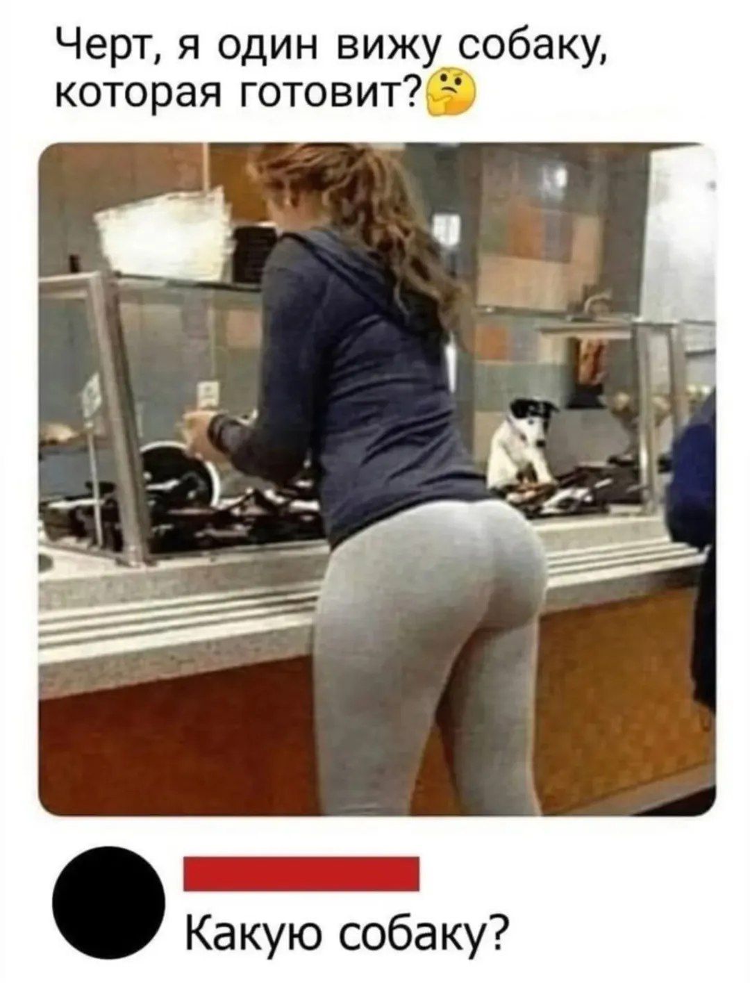 Черт, я один вижу собаку, которая готовит? Какую собаку?