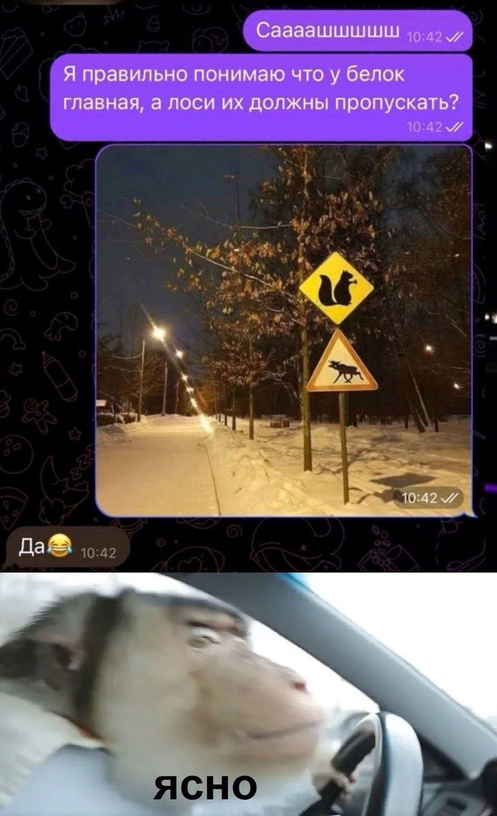 Сааашшшшш. Я правильно понимаю что у белок главная, а лоси их должны пропускать? Да 😂. ЯСНО