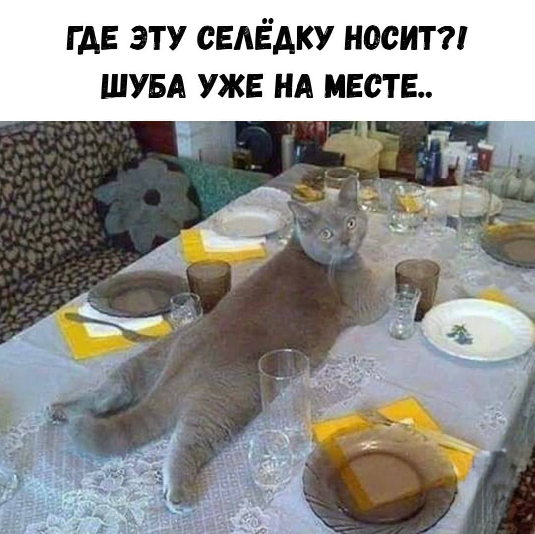 ГДЕ ЭТУ СЕЛЁДКУ НОСИТ? ШУБА УЖЕ НА МЕСТЕ..