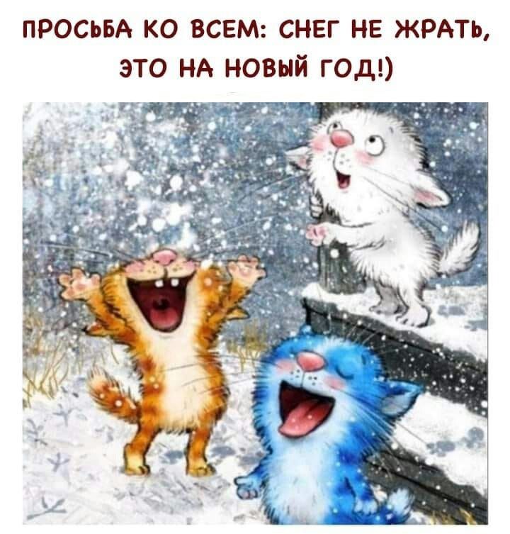 ПРОСЬБА КО ВСЕМ: СНЕГ НЕ ЖРАТЬ, ЭТО НА НОВЫЙ ГОД!