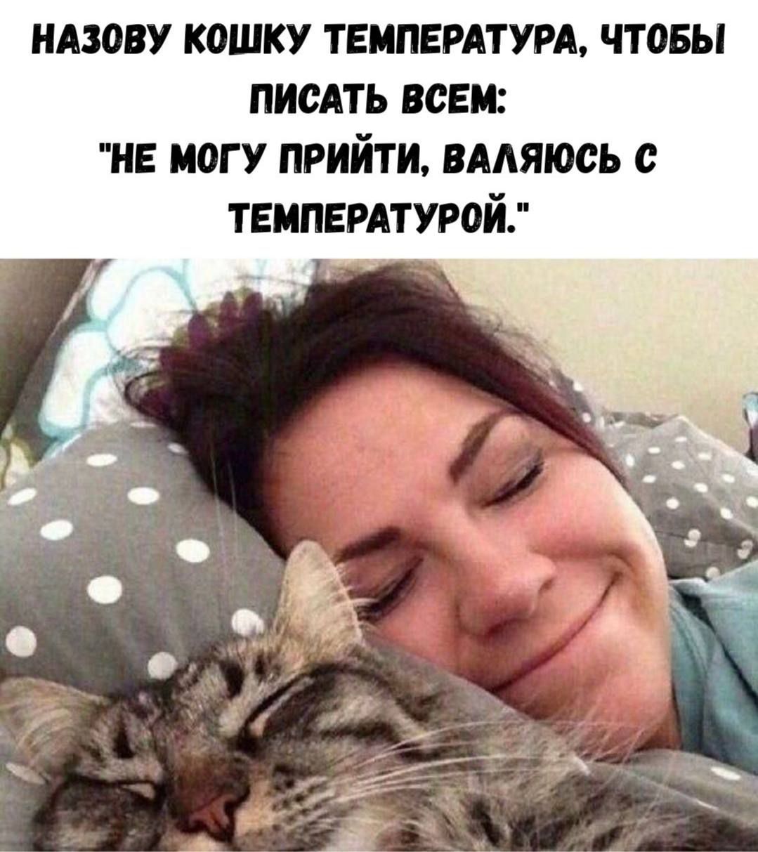 Назову кошку температуру, чтобы писать всем: 
