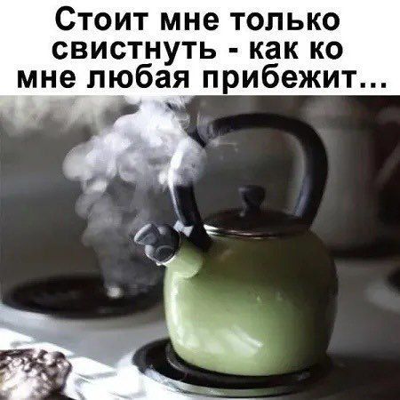 Стоит мне только свистнуть - как ко мне любая прибежит...