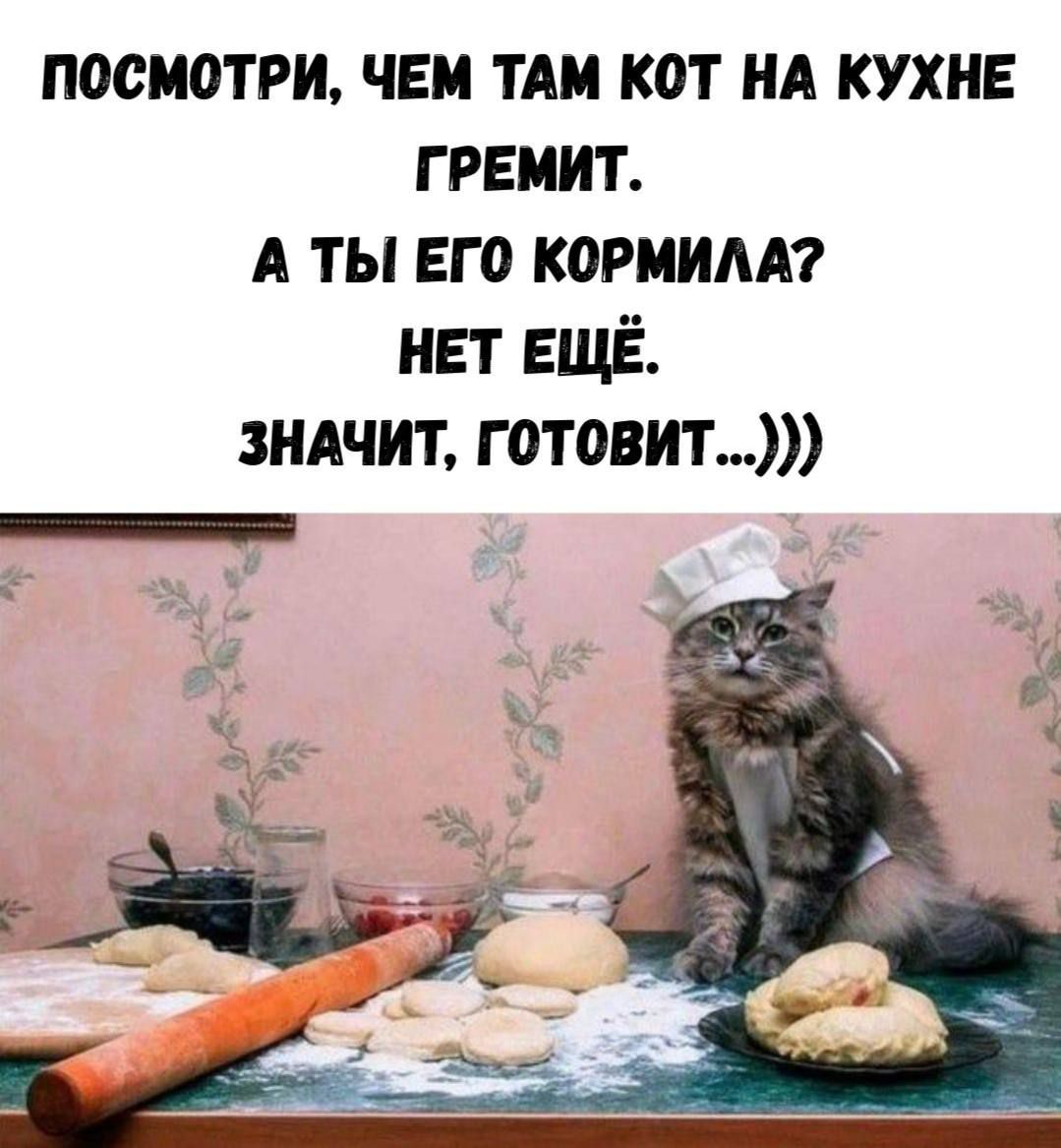 ПОСМОТРИ, ЧЕМ ТАМ КОТ НА КУХНЕ ГРЕМИТ. А ТЫ ЕГО КОРМИЛА? НЕТ ЕЩЁ. ЗНАЧИТ, ГОТОВИТ...)))