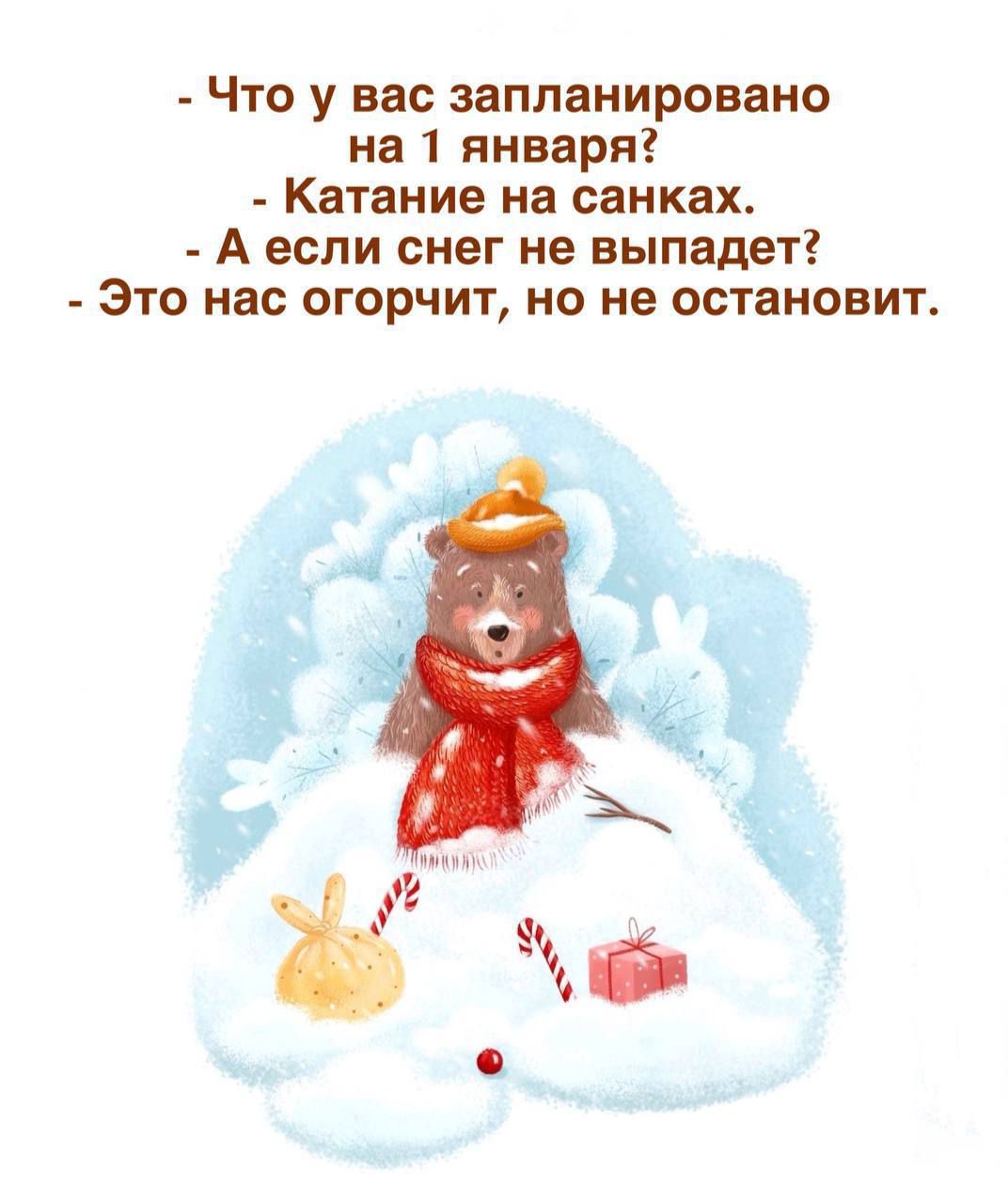 - Что у вас запланировано на 1 января?\n- Катание на санках.\n- А если снег не выпадет?\n- Это нас огорчит, но не остановит.