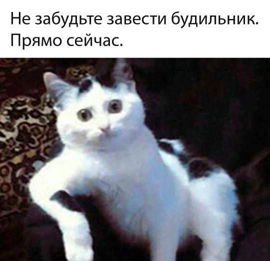 Не забудьте завести будильник. Прямо сейчас.