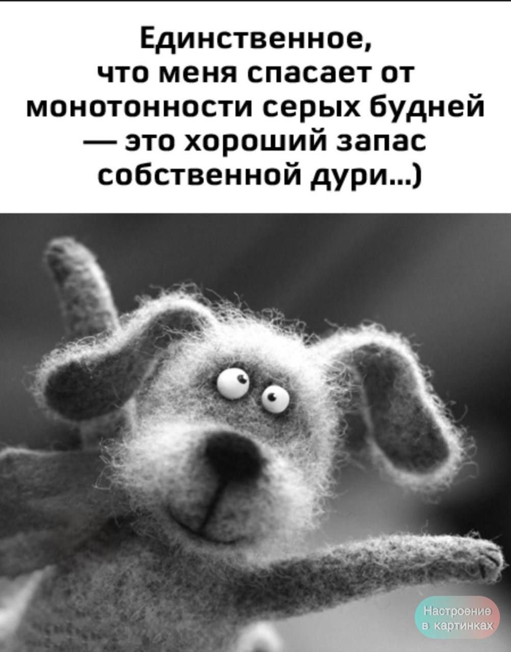 Единственное, что меня спасает от монотонности серых будней — это хороший запас собственной дуури...)