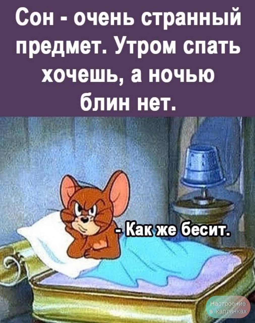Сон - очень странный предмет. Утром спать хочешь, а ночью блин нет. - Как же бесит.