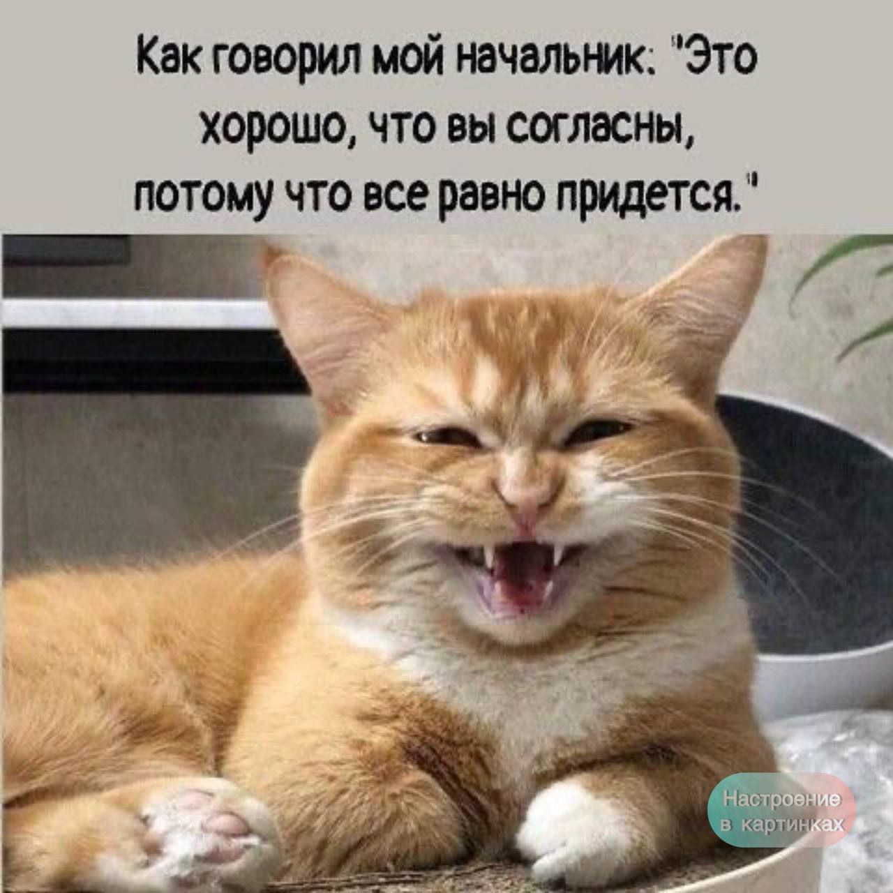 Как говорил мой начальник: 