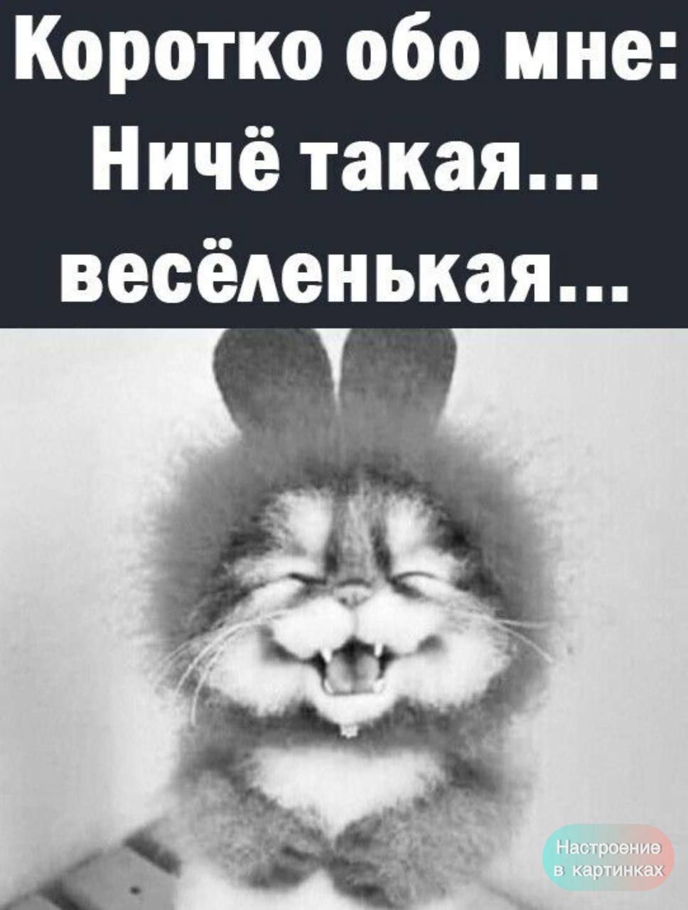 Коротко обо мне: Ничё такая... весёльенькая...