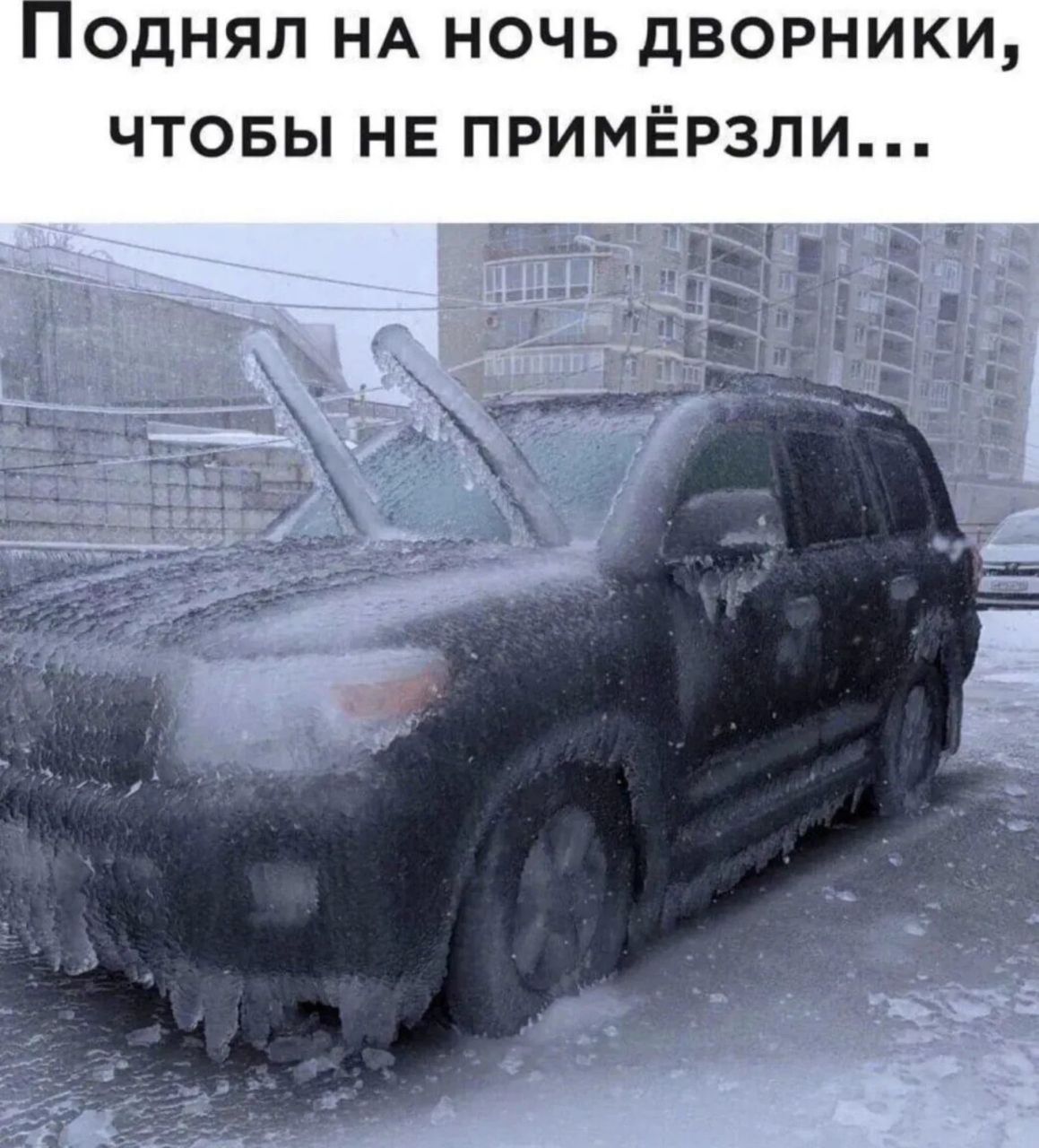 Поднял на ночь дворники, чтобы не примёрзли...