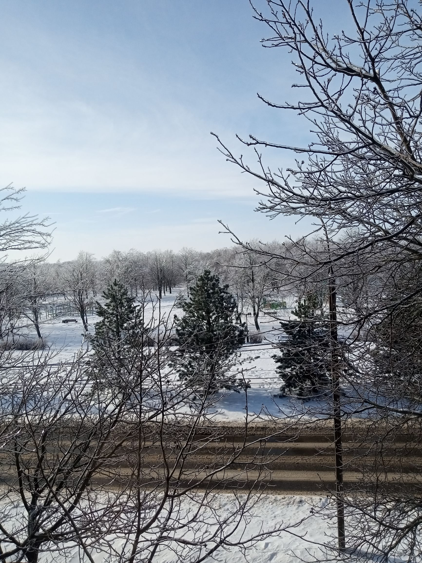 Зимний снежный пейзаж с деревьями и дорожкой.