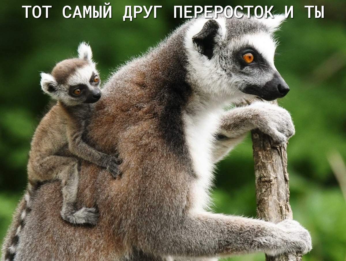 тот САМЫЙ друг ПЕ