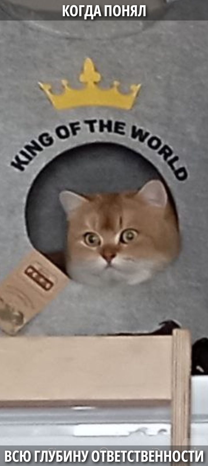 КОГДА ПОНЯЛ KING OF THE WORLD ВСЮ ГЛУБИНУ ОТВЕТСТВЕННОСТИ