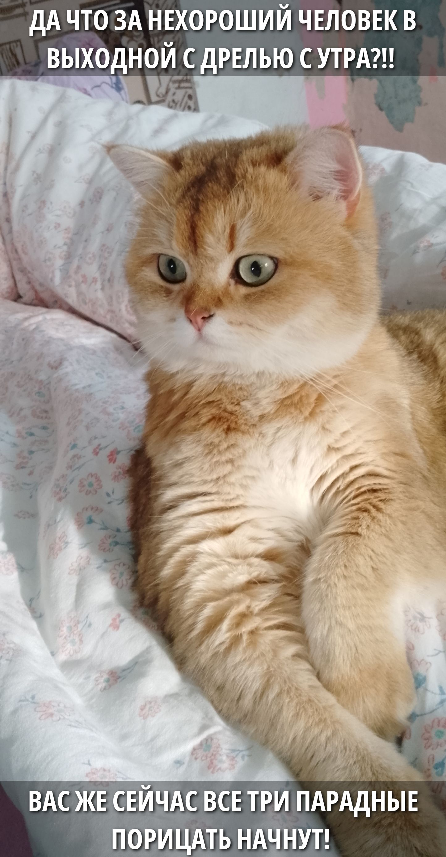 ДА ЧТО ЗА НЕХОРОШИЙ ЧЕЛОВЕК В ВЫХОДНОЙ С ДРЕЛЬЮ С УТРА?!! ВАС ЖЕ СЕЙЧАС ВСЕ ТРИ ПАРАДНЫЕ ПОРИЦАТЬ НАЧНУТ!
