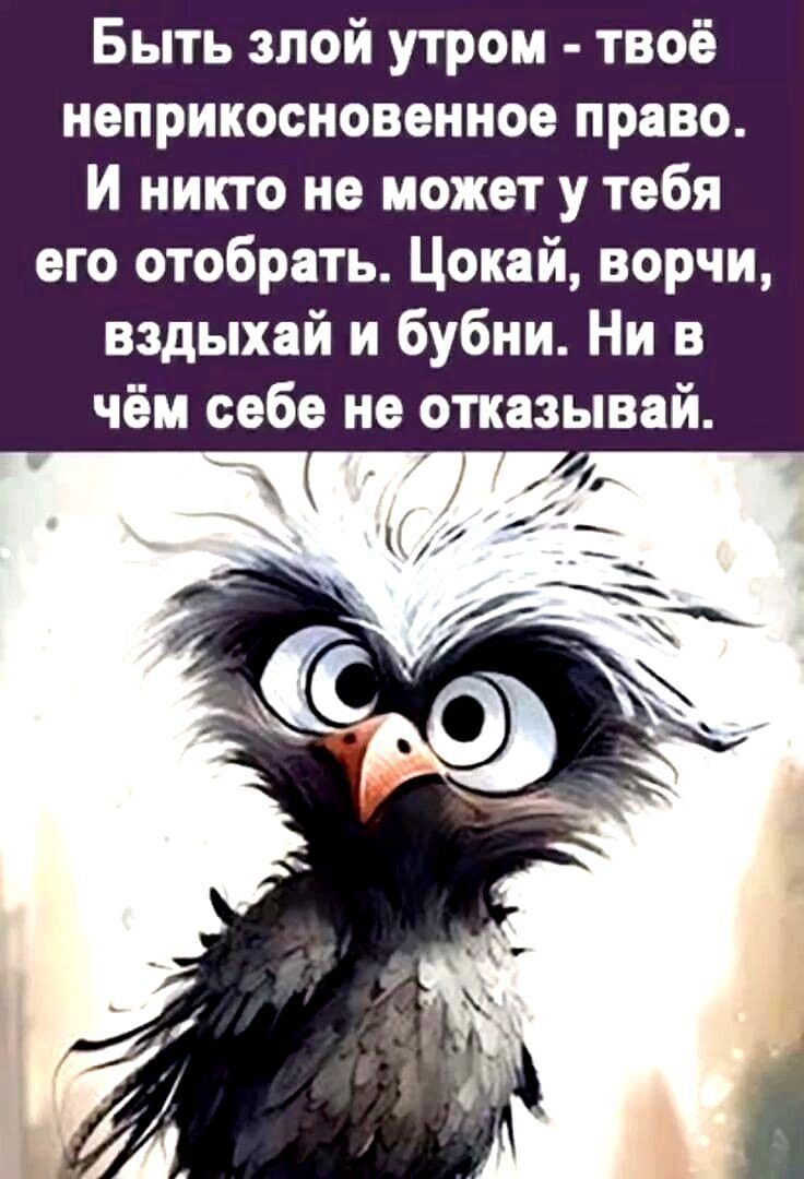 Быть злой утром твоё неприкосновенное право И никто не может у тебя его отобрать Цокай ворчи вздыхай и бубни Ни в чём себе не отказывай