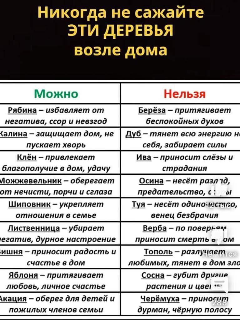 Никогда не сажайте ЭТИ ДЕРЕВЬЯ возле дома

Можно                   Нельзя

Рябина – избавляет от негатива, ссор и невзгод      Берёза – притягивает беспокойных духов
Калина – защищает дом, не пускает хворь          Дуб – тянет всю энергию на себя, забирает силы
Клён – привлекает благополучие в дом, удачу      Ива – приносит слёзы и страдания
Можжевельник – оберегает от нечисти, порчи и сглаза   Осина – несёт разлад, предательства, слёзы
Шиповник – укрепляет отношения в семье           Туя – несёт одиночество и страдания
Лиственница – убирает печаль и грусть               Верба – по поверью, приносит чёрную и неудачу
Сосна – приносит радость и счастье                 Чёремуха – убивает любовные чувства и дурные помыслы