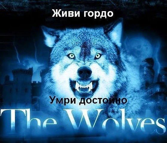 Живи гордо
Умри достойно
The Wolves