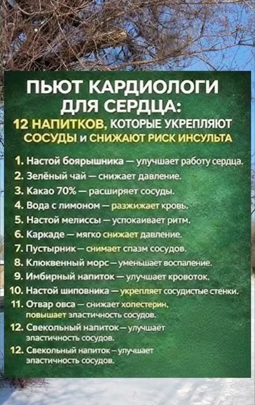 ПЬЮТ КАРДИОЛОГИ ДЛЯ СЕРДЦА: 12 напитков, которые укрепляют сосуды и снижают риск инсульта. 1) Настой боярышника — улучшает работу сердца. 2) Зеленый чай — снижает давление. 3) Какао 70% — расширяет сосуды. 4) Вода с лимоном — разжигает кровь. 5) Настой мелиссы — успокаивает ритм. 6) Каркадэ — мягко снижает давление.