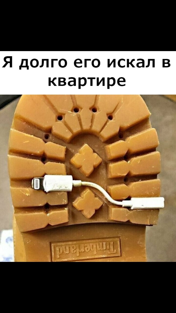 Я долго его искал в квартире