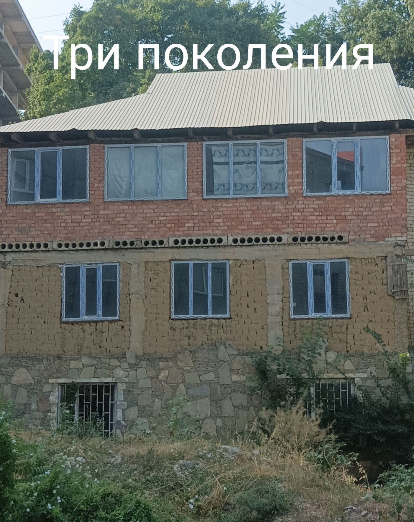 три поколения