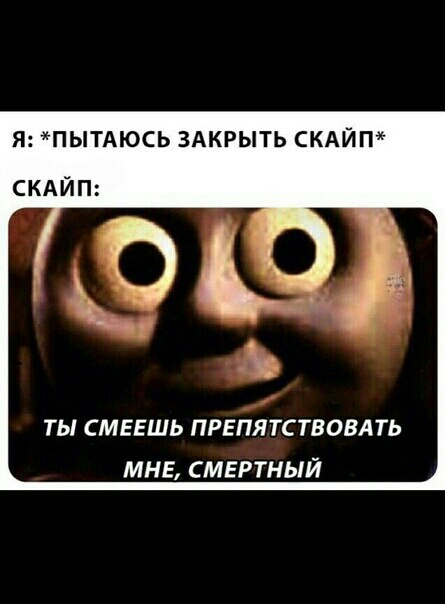 Я ПЫТАЮСЬ ЗАКРЫТЬ СКАЙП СКАЙП и д ТЫ СМЕЕШЬ ПРЕПЯТСТВОВАТЬ МНЕ СМЕРТНЫЙ