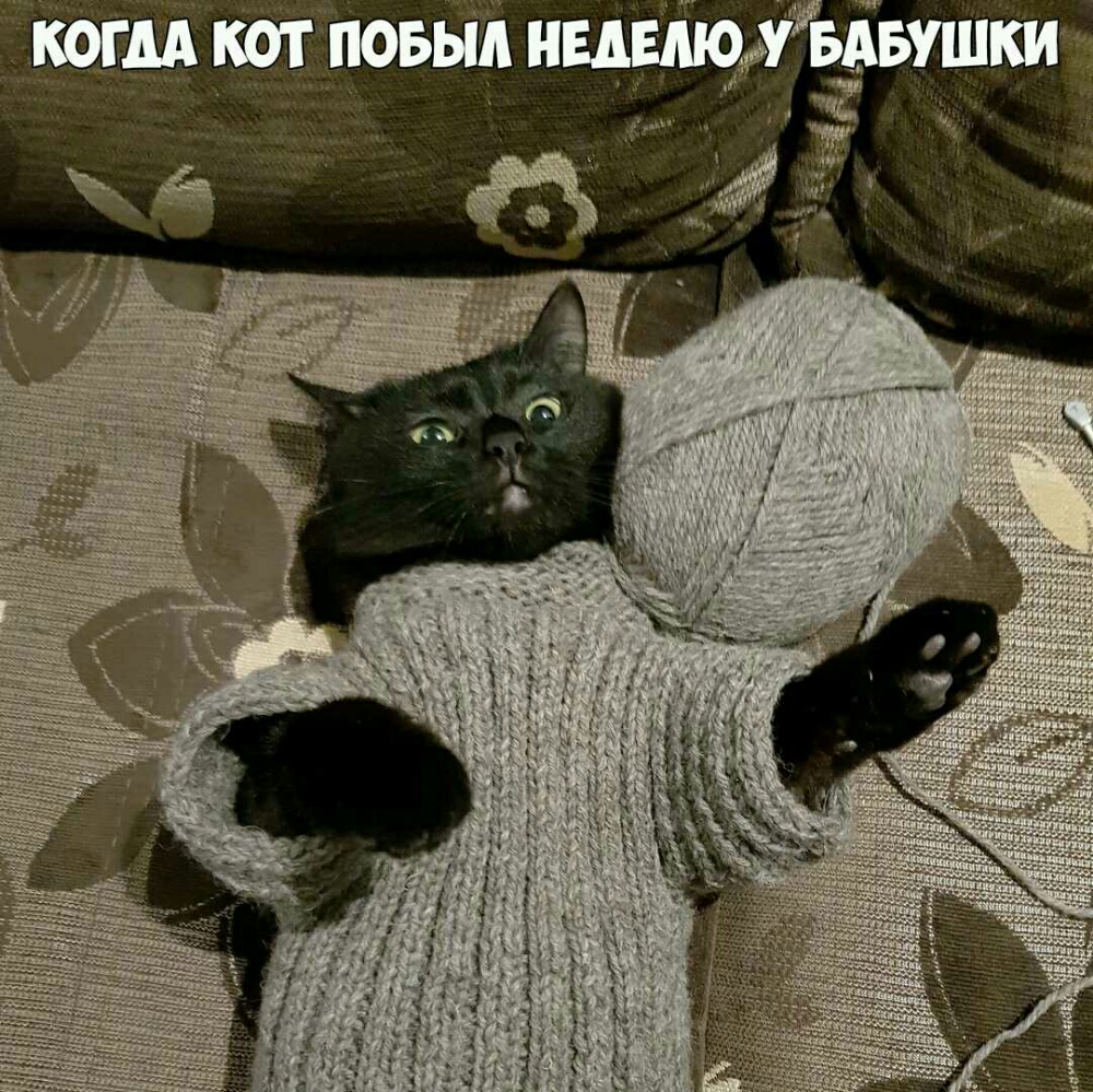 Буш и
