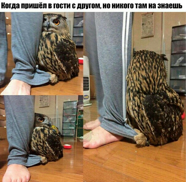 Магда ППИШЁП В ШБТИ В дпуюм ШШШ там на знаешь