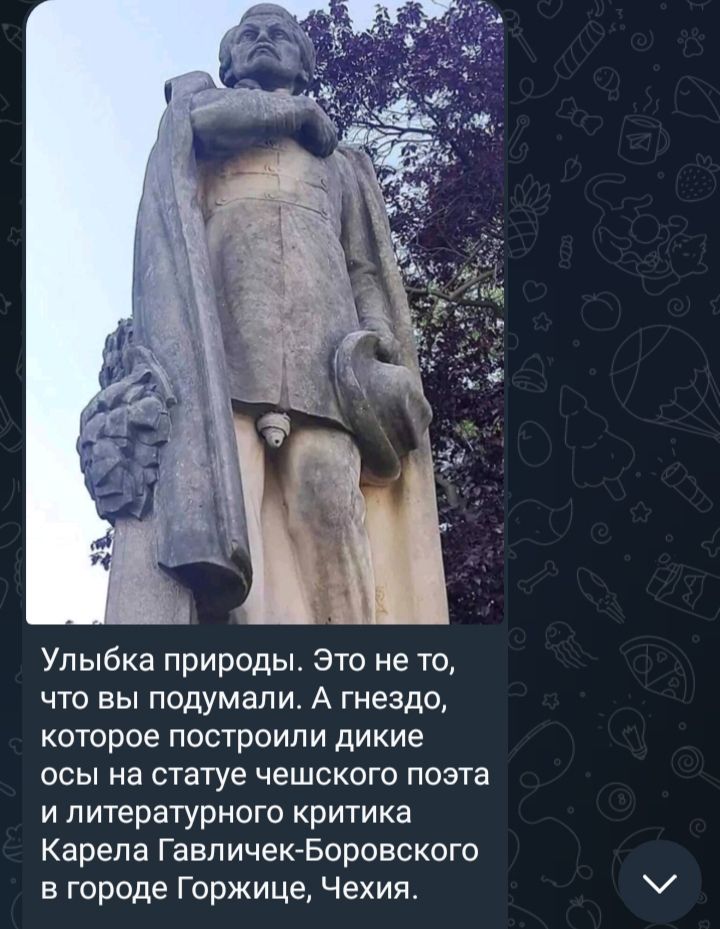 Улыбка природы это не та что вы подумали А гнездо которое построили дикие осы на статуе чешского поэта и литературного критика Карела Гавличек Боровского в городе Горжице Чехия