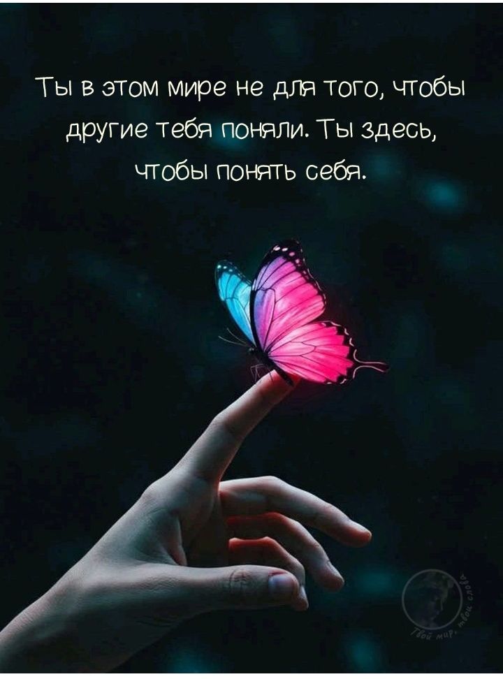 Ты в этом мире не для того, чтобы другие тебя поняли. Ты здесь, чтобы понять себя.