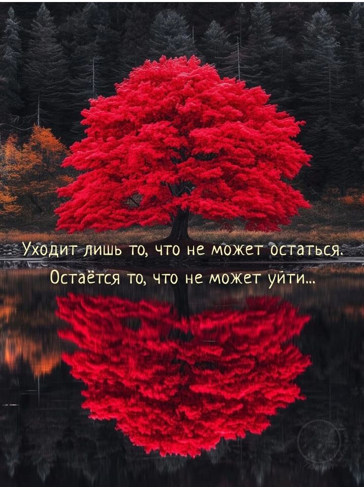 Уходит лишь то, что не может остаться. Остаётся то, что не может уйти...