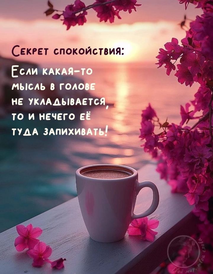 Секрет спокойствия:
Если какая-то мысль в голове не укладывается, то и нечего её туда запихивать!