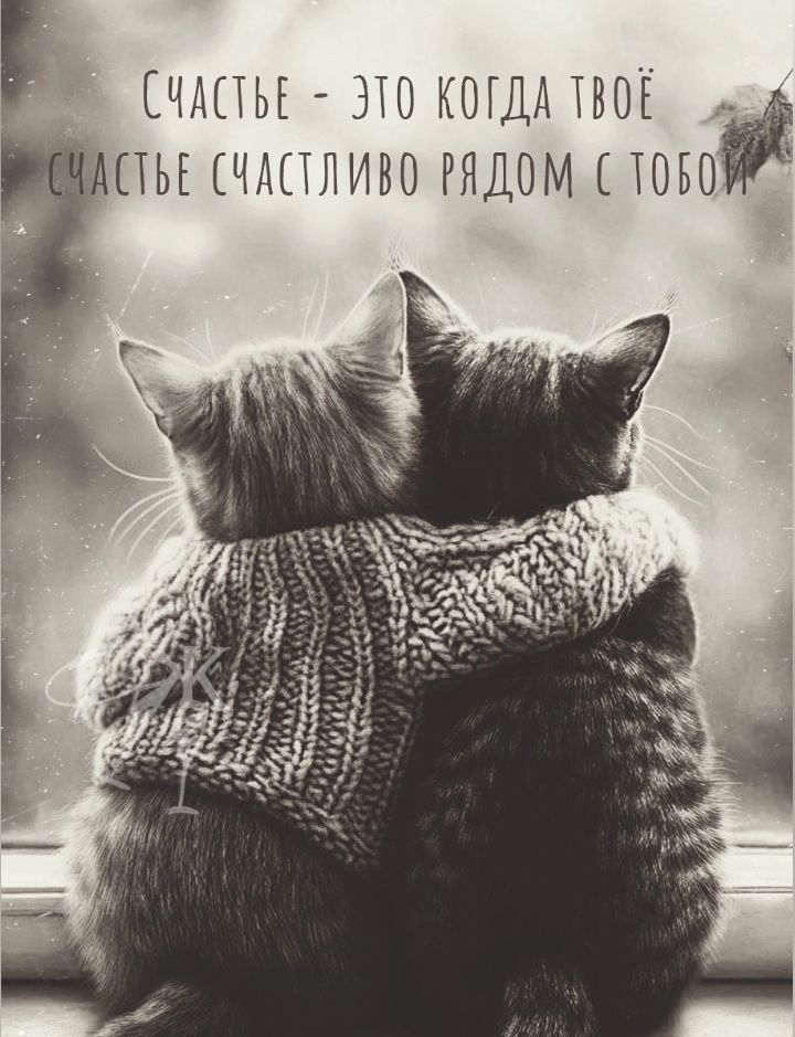 Счастье - это когда твое счастье счастливо рядом с тобой