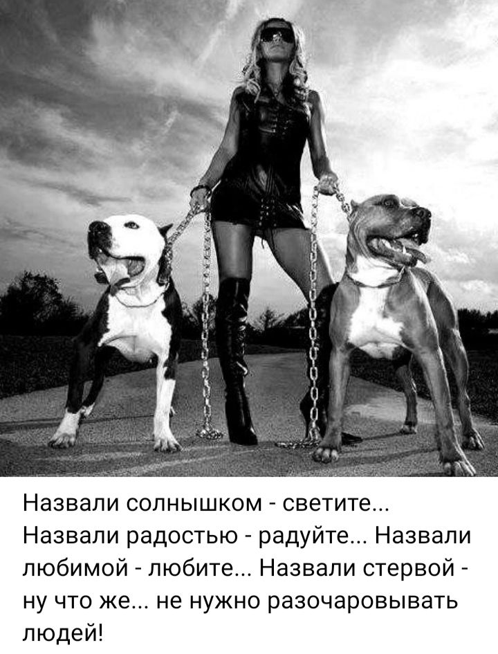Назвали солнышком - светите... Назвали радостью - радуйте... Назвали любимой - любите... Назвали стервой - ну что же... не нужно разочаровывать людей!