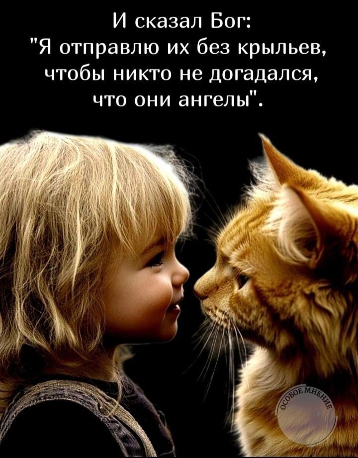 И сказал Бог: 