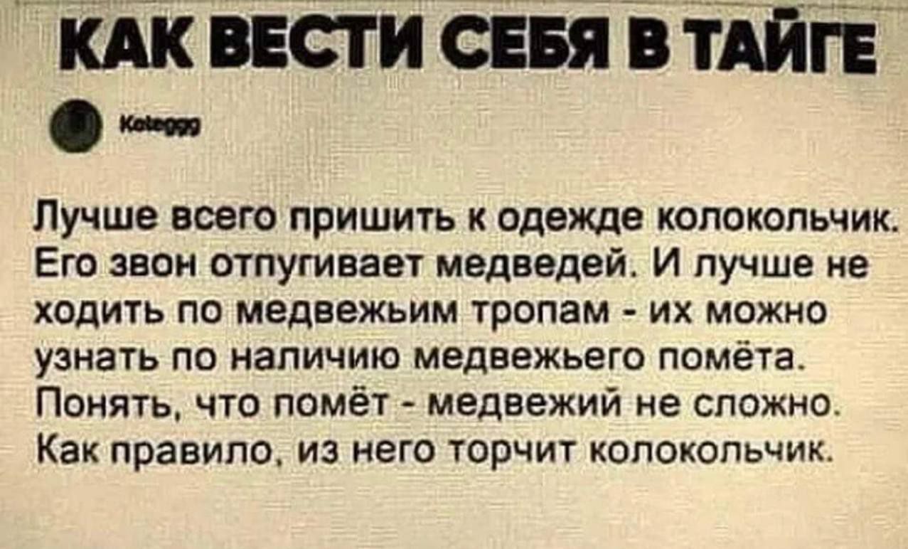 КАК ВЕСТИ СЕБЯ В ТАЙГЕ ип Лучше всего пришить к одежде колокольчик Его звон отпугивает медведей И лучше не ходить по медвежьим тропам их можно узнать по наличию медвежьего помёта Понять что помёт медвежий не сложно Как правило из него торчит колокольчик