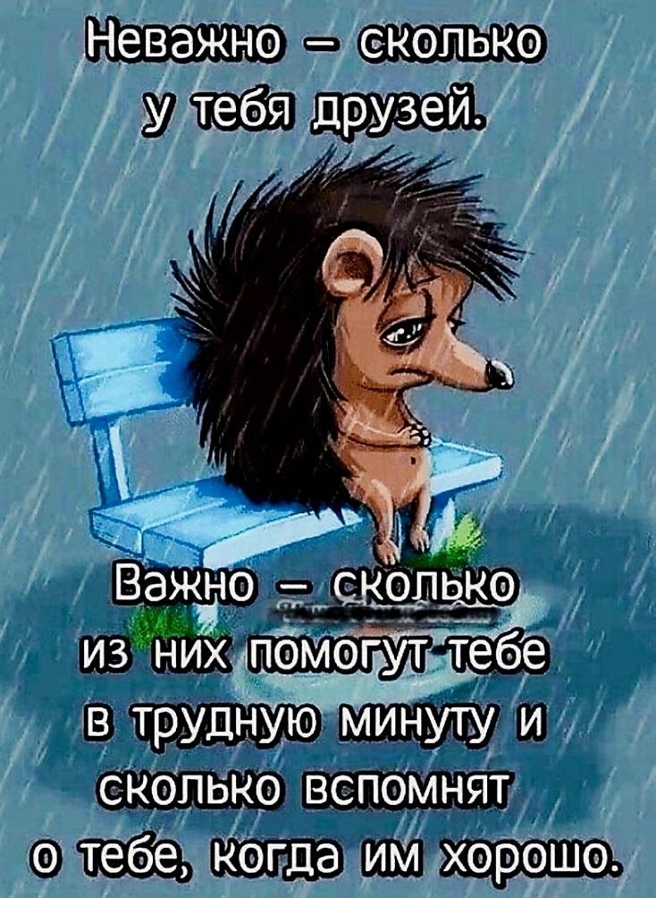 М прузей