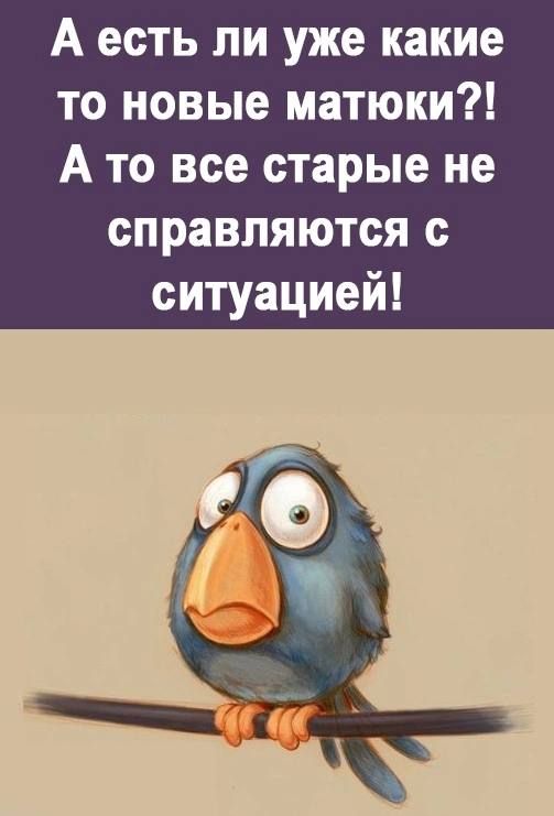 А есть ли уже какие то новые матюки А то все старые не справляются с ситуацией