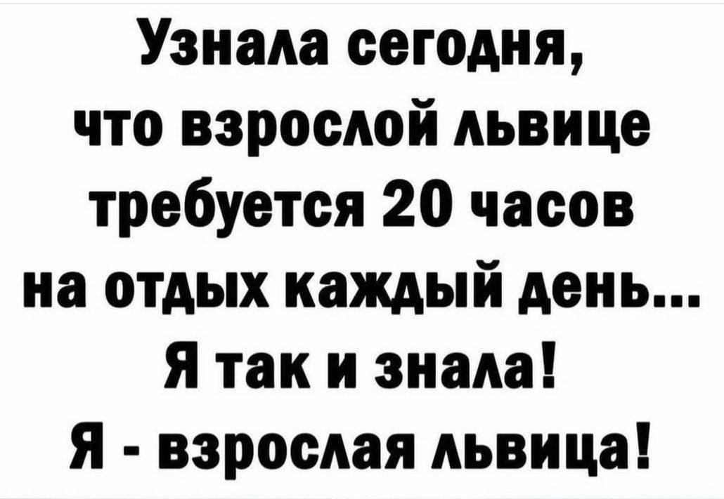 Узнала сегодня что взрослой львице требуется 20 часов на отдых каждый день Я так и знала Я взрослая львица