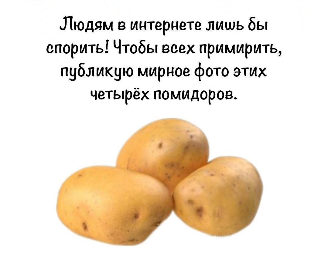 Людям в интернете лишь бы спорить Чтобы всех примирить публикую мирное фото этих четырёх помидоров