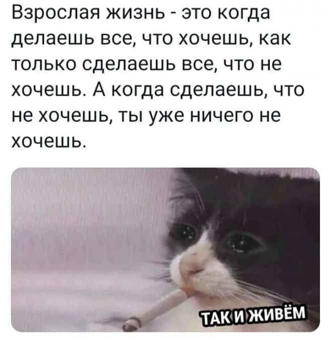 Взрослая жизнь это когда делаешь все что хочешь как только сделаешь все что не хочешь А когда сделаешь что не хочешь ты уже ничего не хочешь