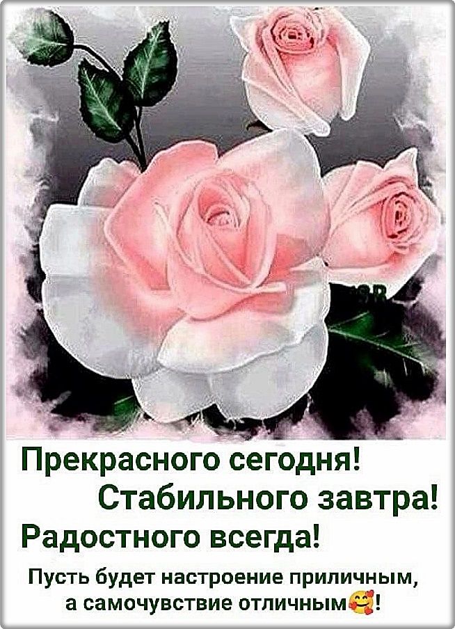 Прекрасного сегодня Стабильного завтра Радостного всегда Пусть будет настроение приличным а самочувствие отличным