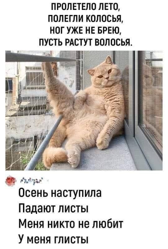 ПРОЛЕТЕЛО ЛЕТО ПОЛЕГЛИ КОЛОСЬЯ НОГ УЖЕ НЕ БРЕЮ ПУСТЬ РАСТУТ ВОЛОСЬЯ Ола Осень наступила Падают листы Меня никто не любит У меня глисты