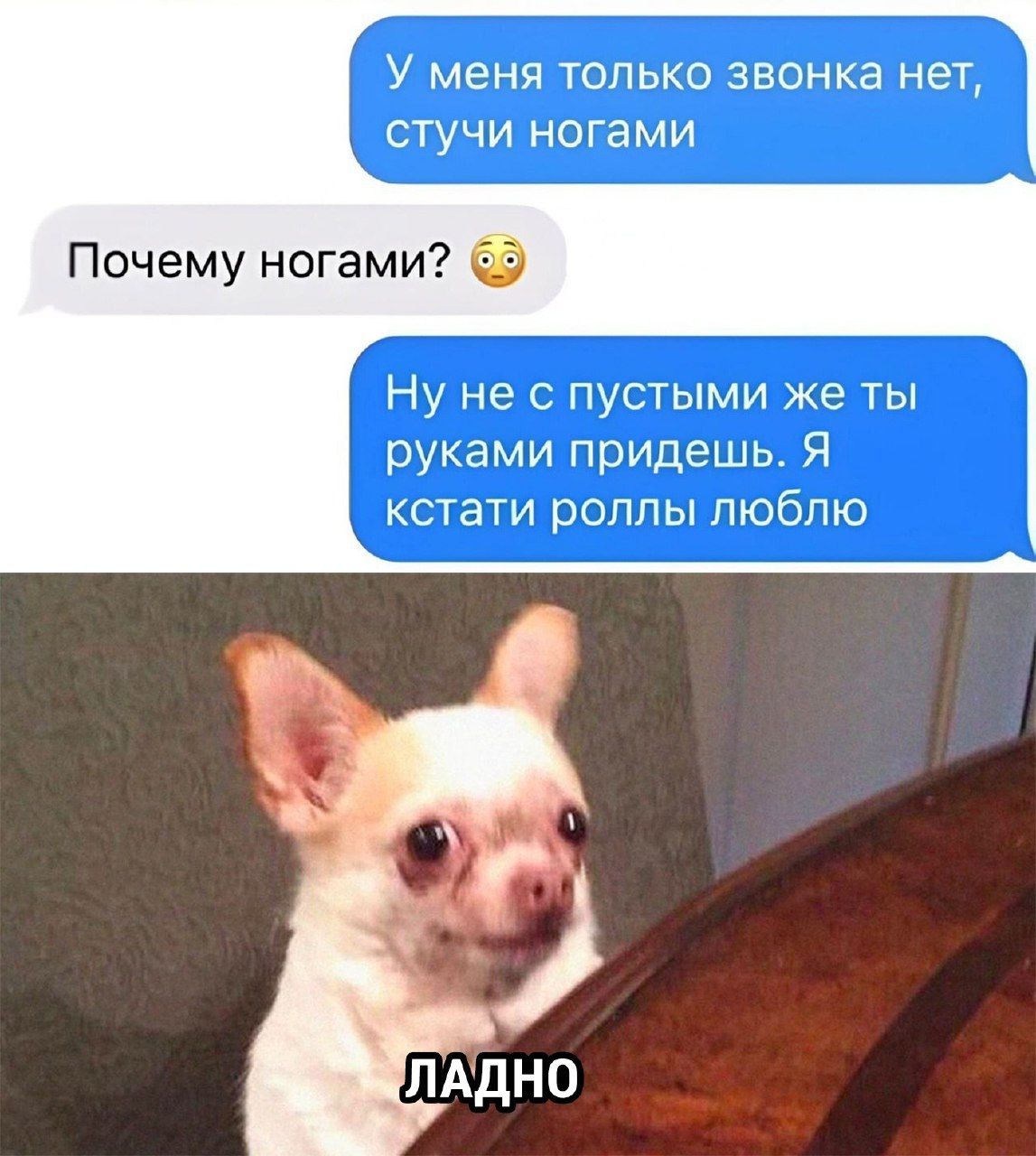 У меня только звонка нет стучи ногами Почему ногами 5 Ну не с пустыми же ты руками придешь Я кстати роллы люблю