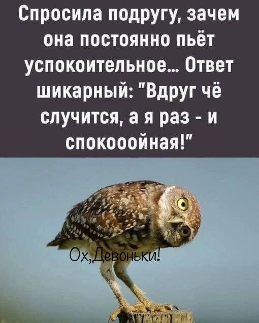 Спросила подругу зачем она постоянно пьёт успокоительное Ответ шикарный Вдруг чё случится а я раз и спокооойная