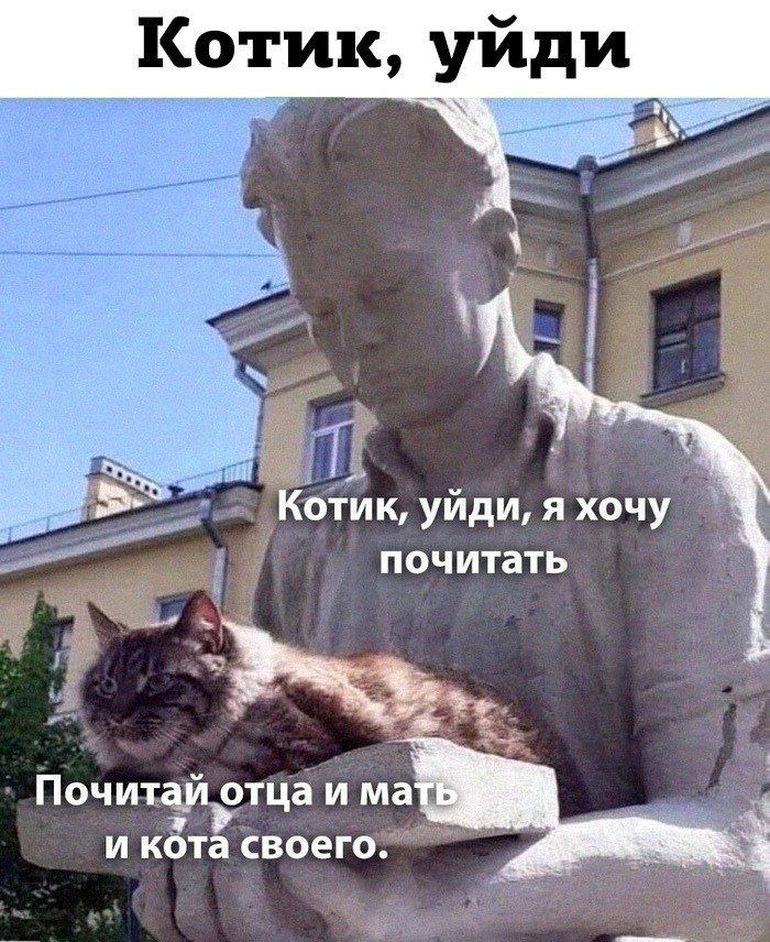 Котик уйди я хочу почитать