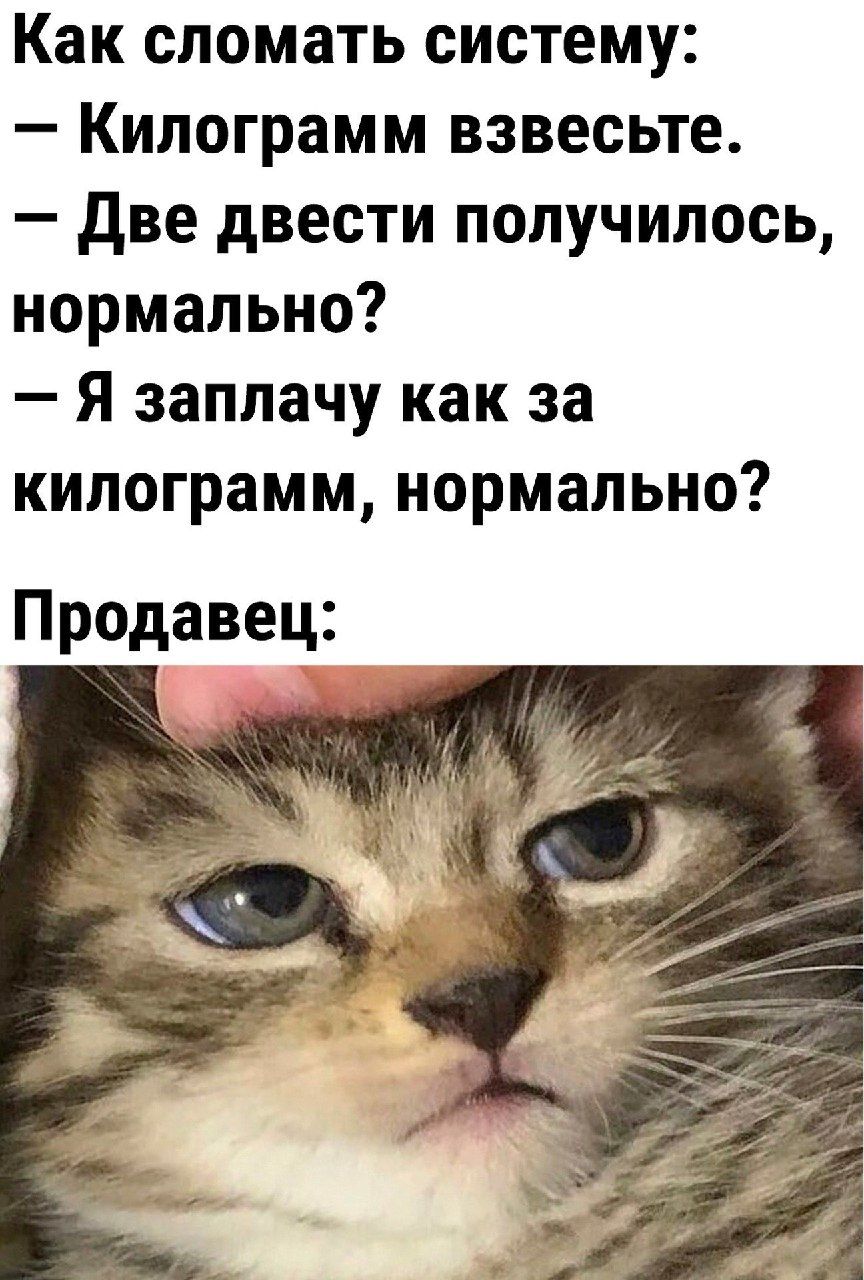 Как сломать систему Килограмм взвесьте Две двести получилось нормально Я заплачу как за килограмм нормально Продавец