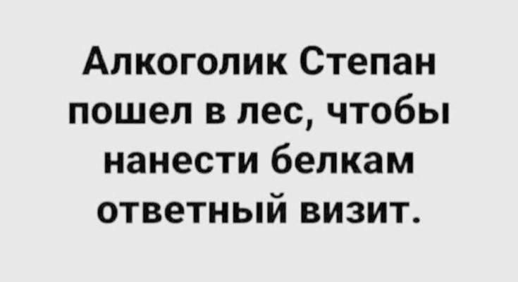 Алкоголик Степан пошел в лес чтобы нанести белкам ответный визит