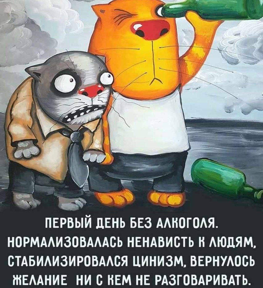 ПЕРВЫЙ ДЕНЬ БЕЗ АЛКОГОЛЯ НОРМАЛИЗОВАЛАСЬ НЕНАВИСТЬ В ЛЮДЯМ СТАБИЛИЗИРОВАЛСЯ ЦИНИЗМ ВЕРНУЛОСЬ МЕЛАНИЕ НИ С КЕМ НЕ РАЗГОВАРИВАТЬ
