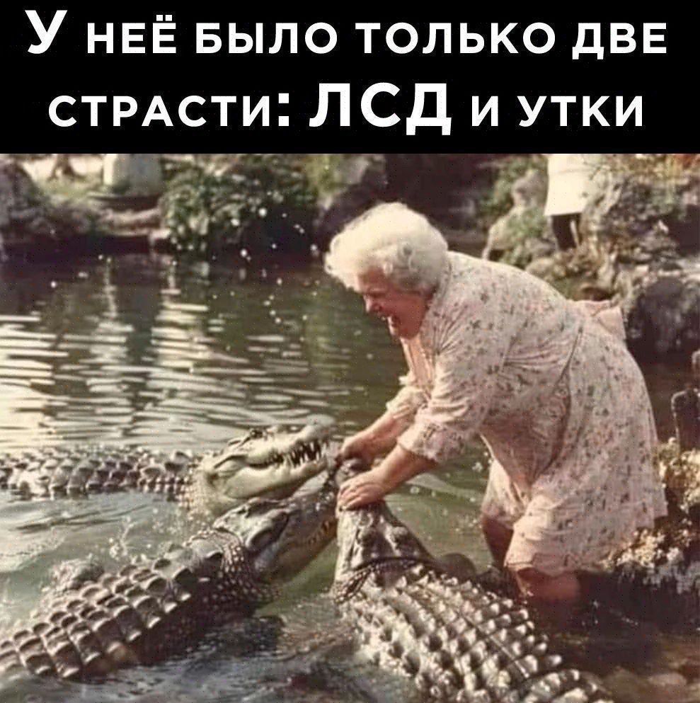 У нЕЁ БЫЛО ТОЛЬКО ДВЕ СТРАСТИ ЛСДи утки