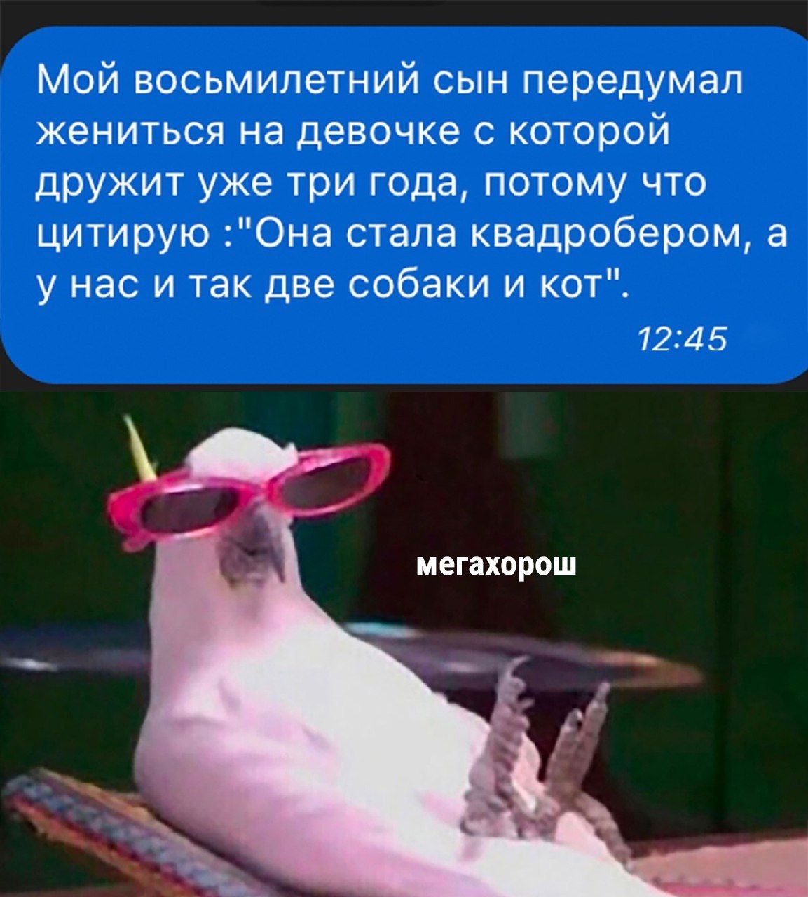 Мой восьмилетний сын передумал жениться на девочке с которой дружит уже три года потому что цитирую Она стала квадробером а у нас и так две собаки и кот 1245